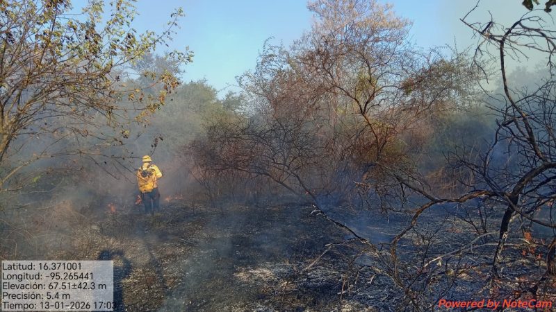 Dos incendios de pastizales