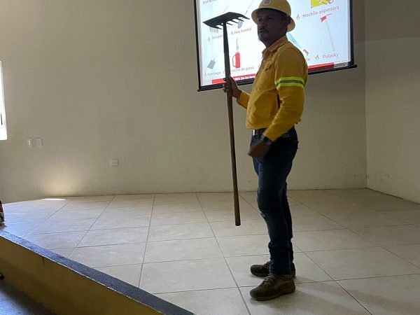 Incendios forestales