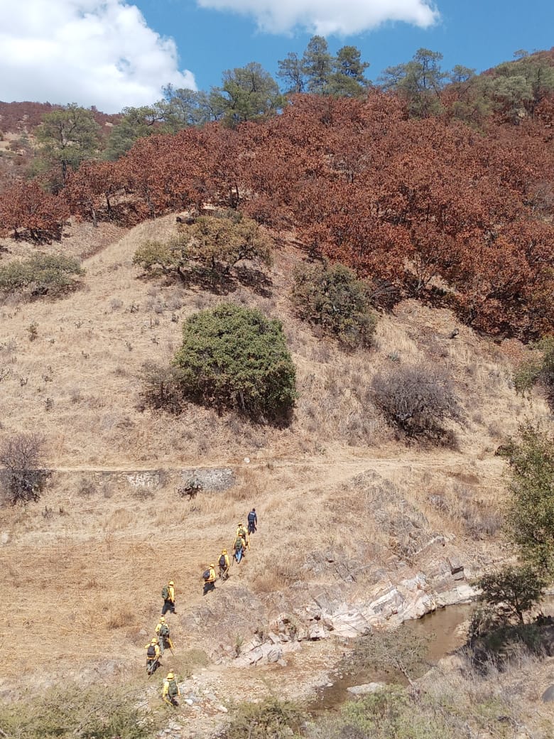 Atiende Coesfo incendio forestal en Santa María Peñoles y Santa María Atzompa