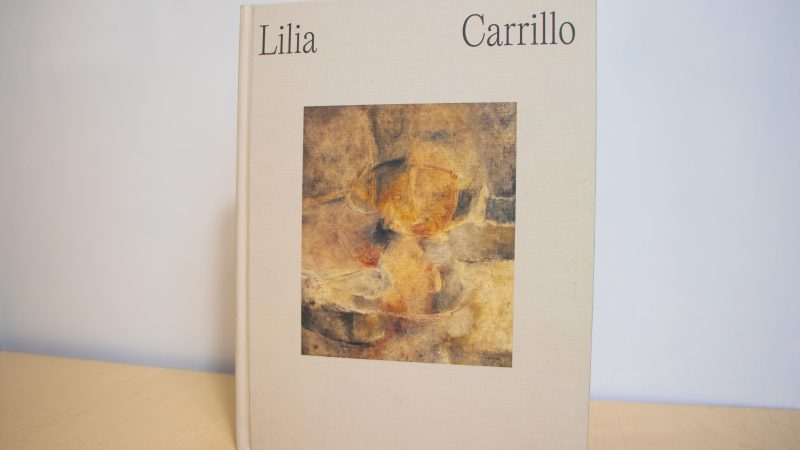 Lilia Carrillo. Todo es sugerente