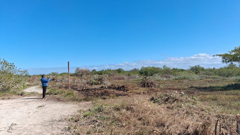 Chelem, Progreso, Yucatán