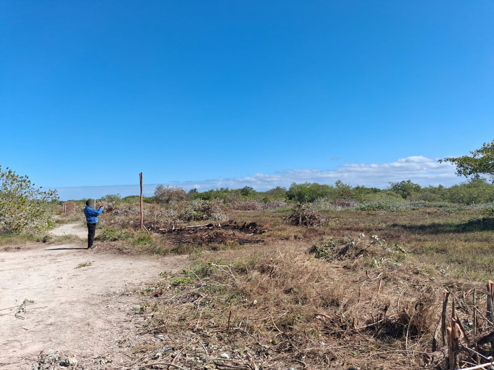 Clausura Profepa actividades ilegales de desmonte y lotificación en zona de manglares, en Chelem