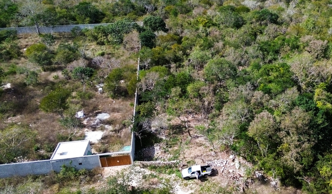 Clausuran actividades irregulares en predio con valor ambiental y arqueológico en Dzibilchaltún, Yucatán
