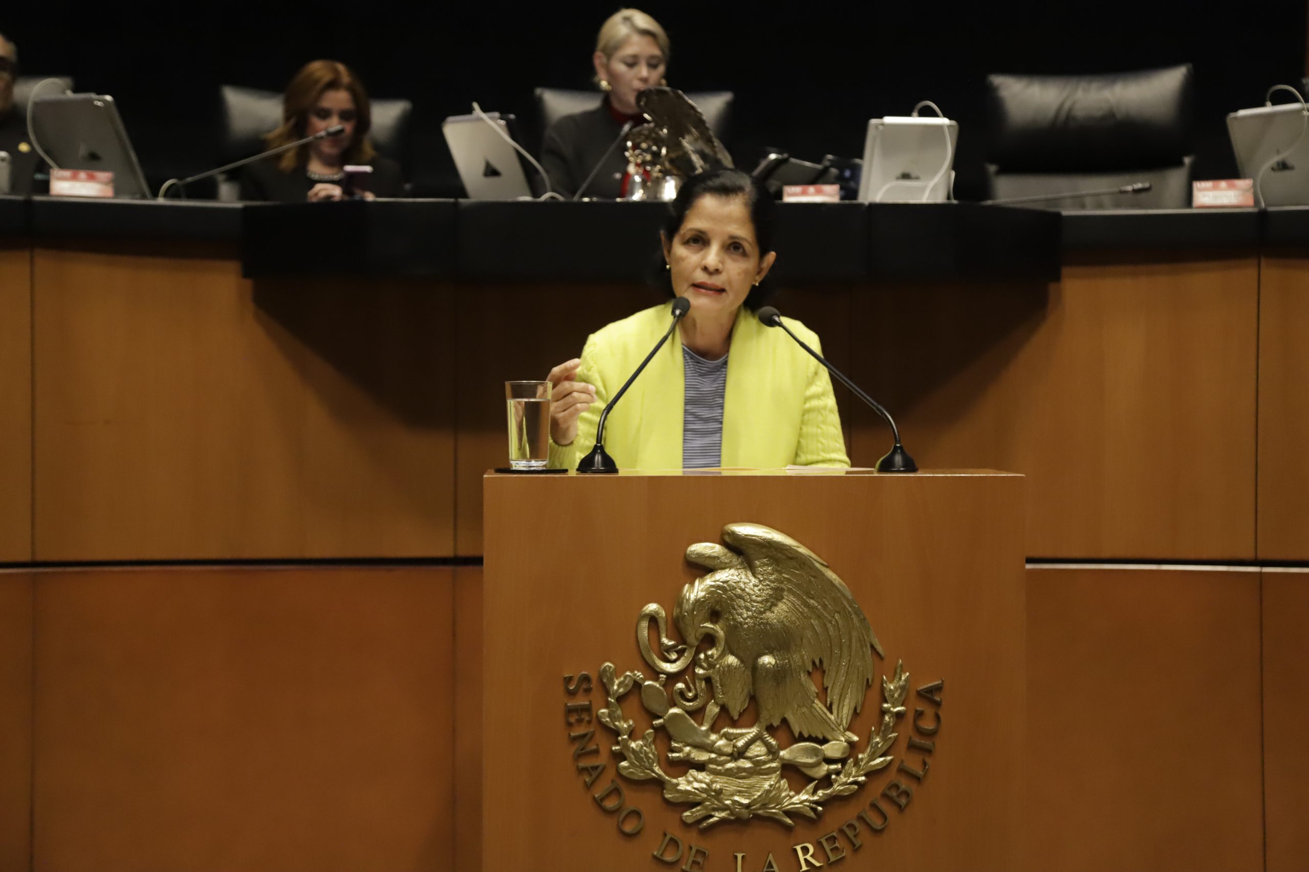 Insiste senadora en prohibir uso de doble remolque de servicios de autotransporte en el país