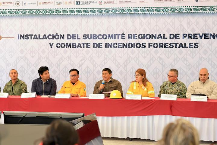 Convocan a una colaboración efectiva para el combate de incendios forestales