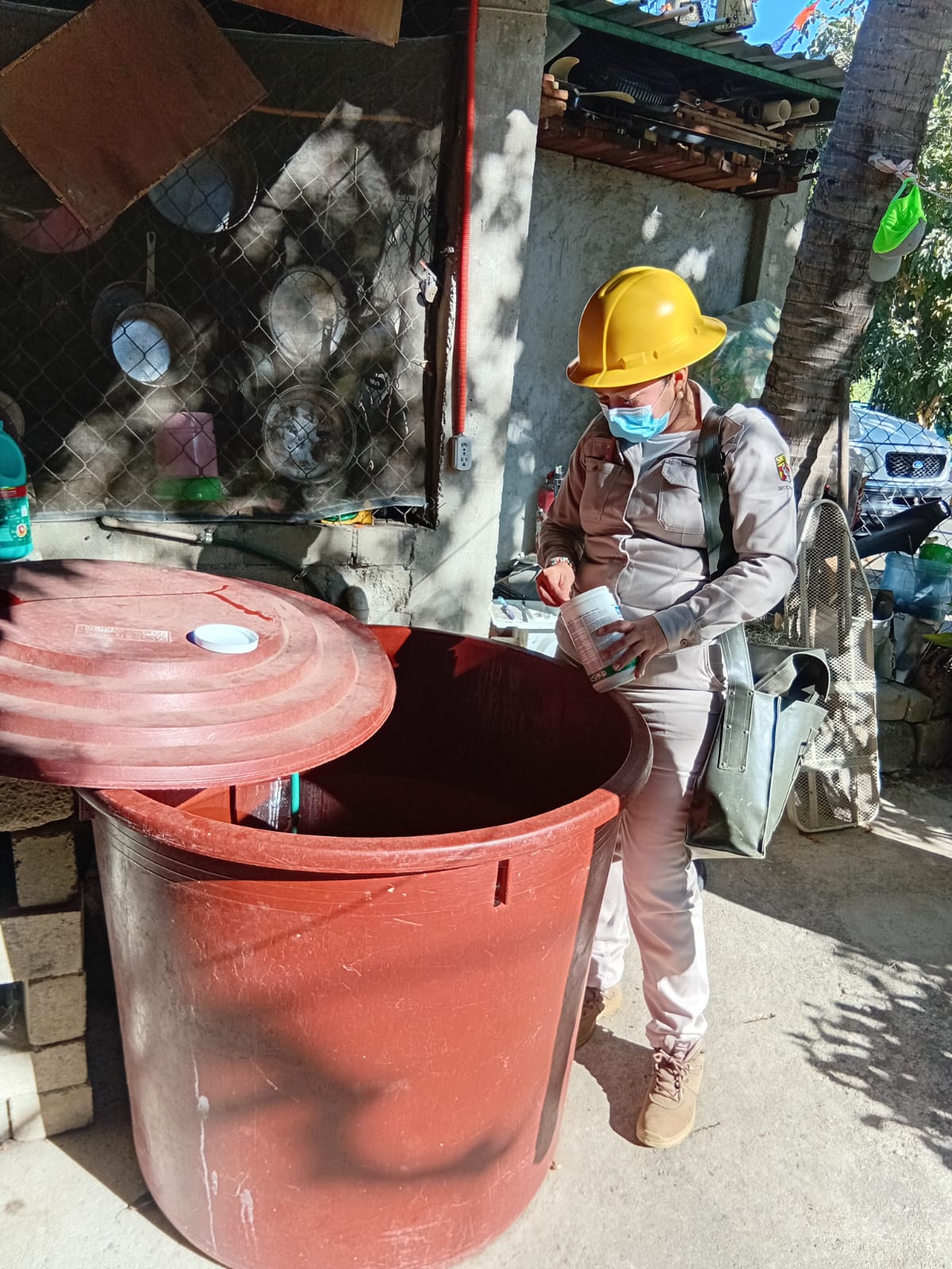 Reduce 93% incidencia de dengue con el reforzamiento de acciones: SSO