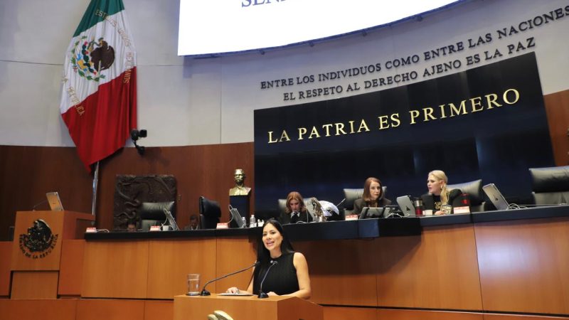 Ana Karen Hernández Aceves