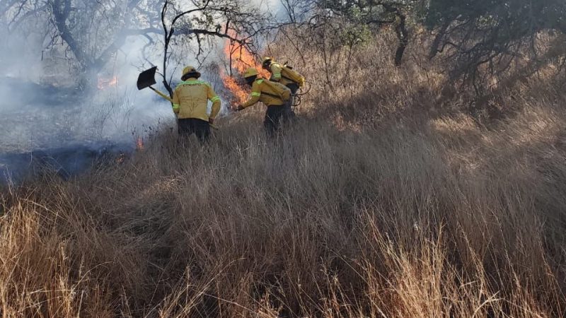 Incendios forestales