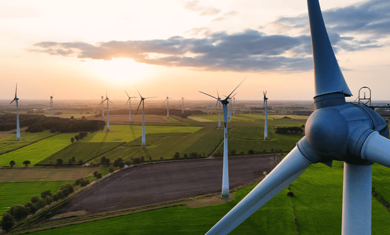 SilverBlue adquiere Solage y se compromete a invertir 500 mdp en empresas de energías renovables