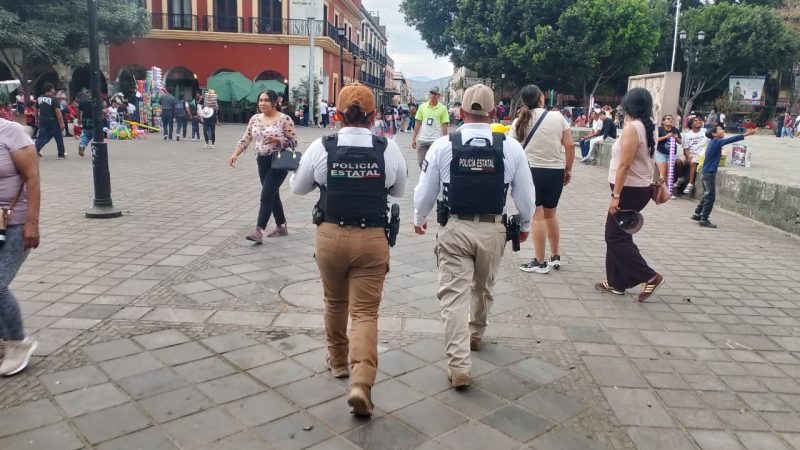 Estrategia Oaxaca Segura