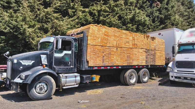 Cargamento ilegal de madera