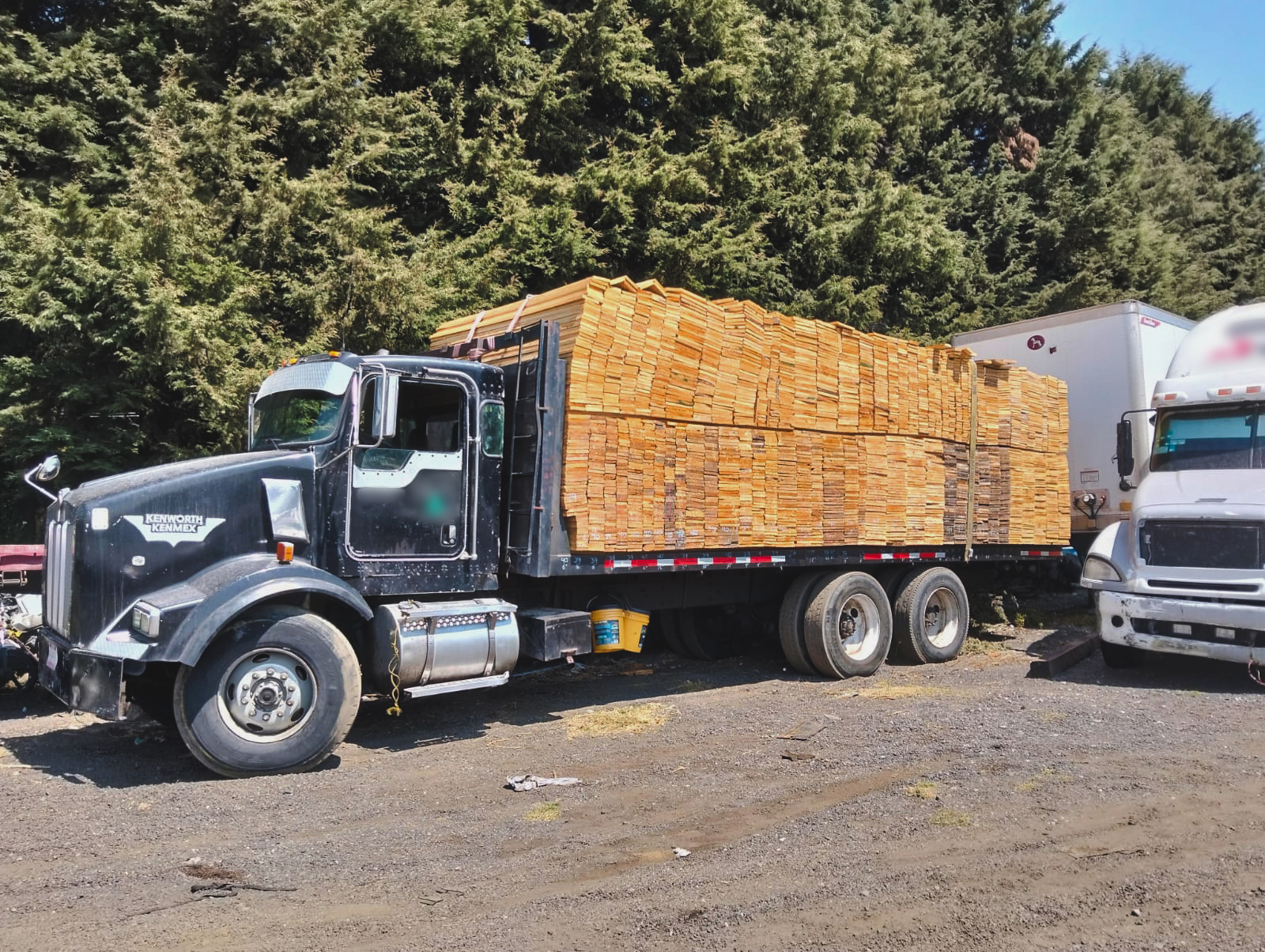 Por traficar madera ilegal, Guardia Nacional y Profepa ponen a disposición del MP a una persona, en Morelos