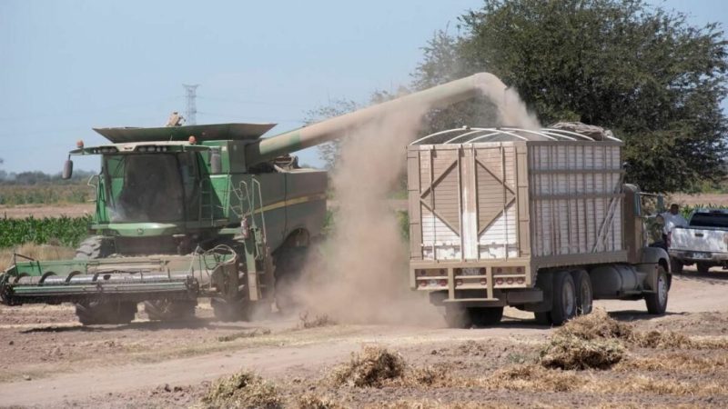Agustín Espinoza Laguna