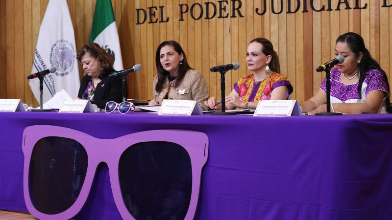 Panel “Mujeres, Elección Judicial y Perspectiva de Género”