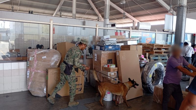 Operativo en paqueterías