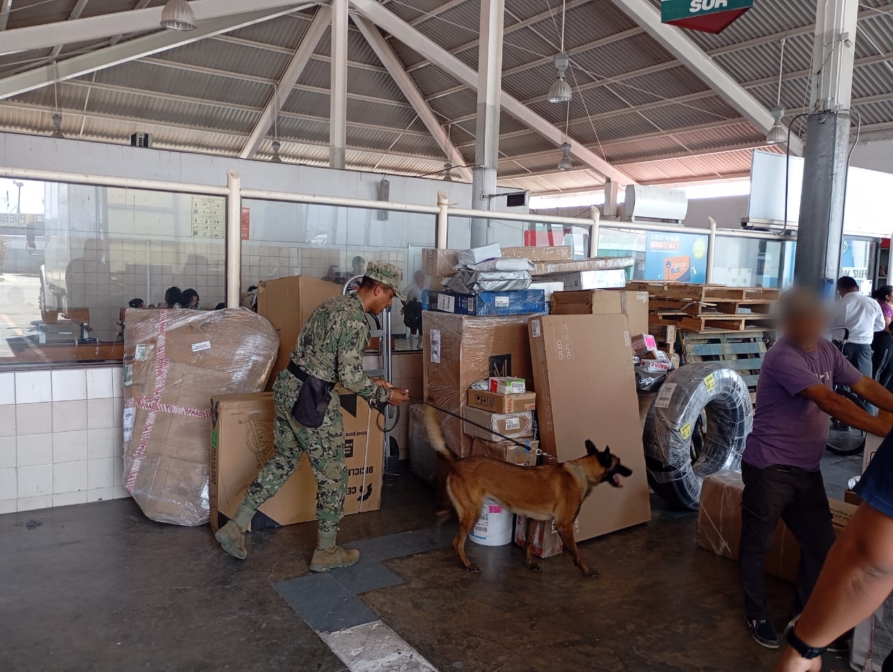 Operativo simultáneo en paqueterías de Oaxaca permite detectar envío de drogas y armas; FGEO investiga a remitentes