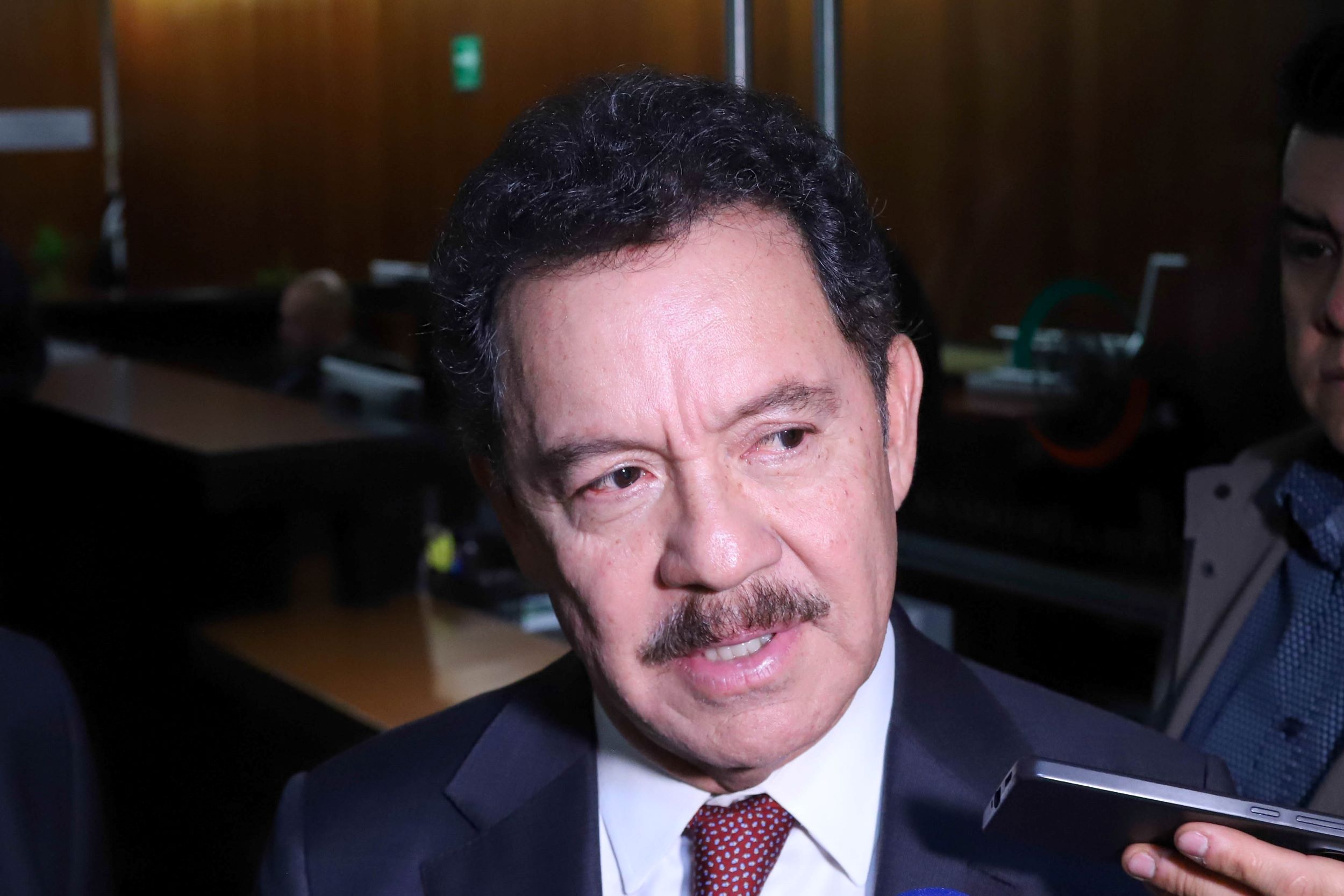 Cuidará Reforma Electoral los principios de austeridad y racionalidad: Mier Velazco