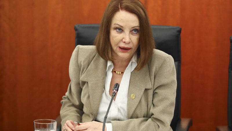 Laura Itzel Castillo Juárez