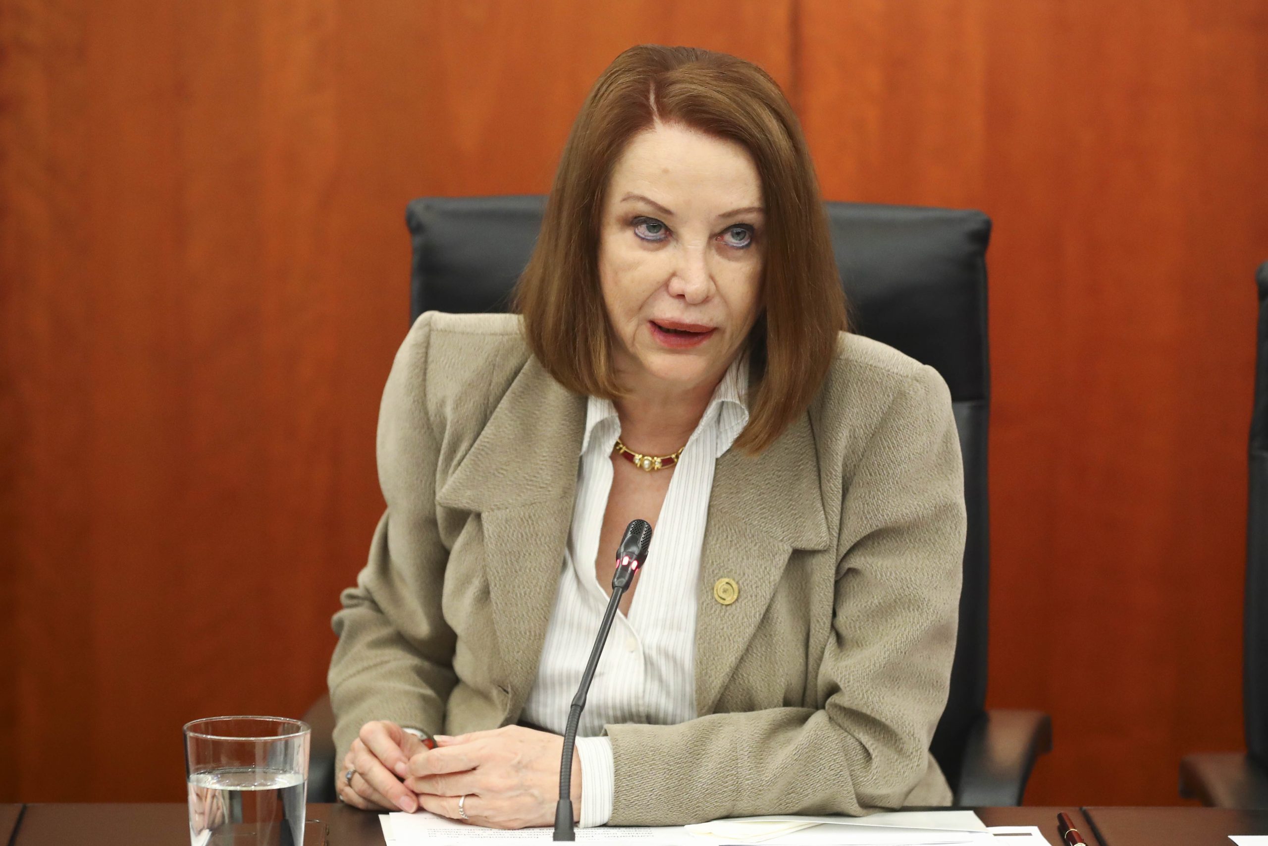 Reitera presidenta del Senado de la República llamado para elevar el debate parlamentario