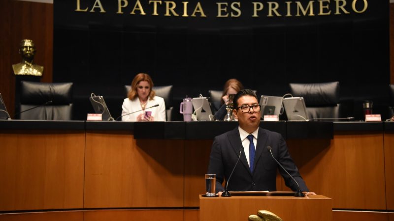 Néstor Camarillo Medina