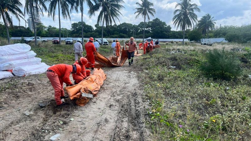 Limpieza de hidrocarburo