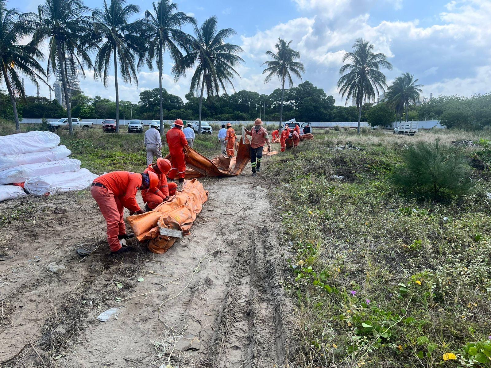Reporta Petróleos Mexicanos avances en limpieza de hidrocarburo en la zona de Dos Bocas, Tabasco