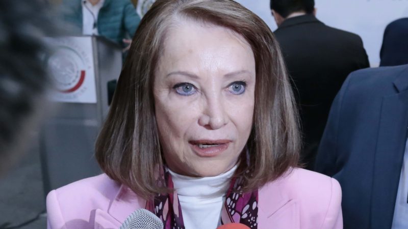 Laura Itzel Castillo Juárez