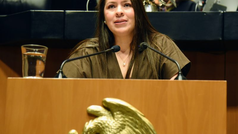Karen Castrejón Trujillo