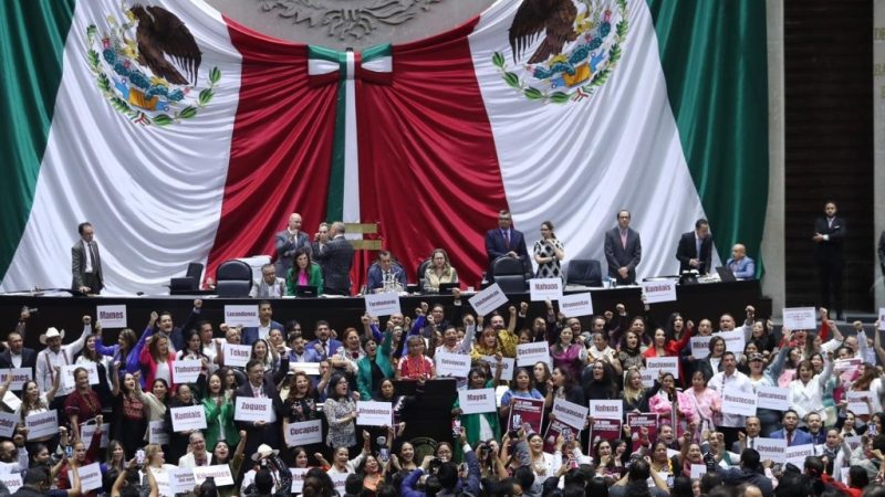 Litigio Estratégico Indígena A.C.