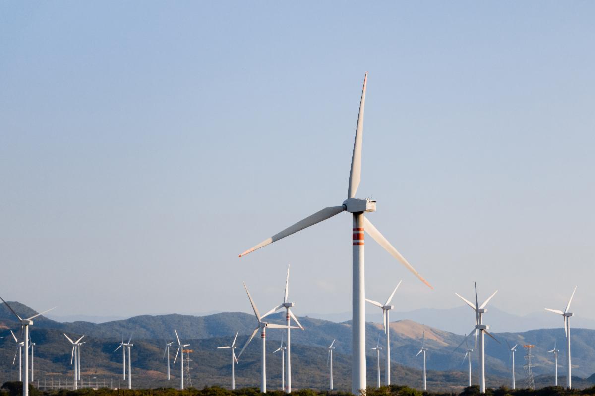 Inversión mixta y planeación de largo plazo trazan el nuevo rumbo eólico en México: AMDEE