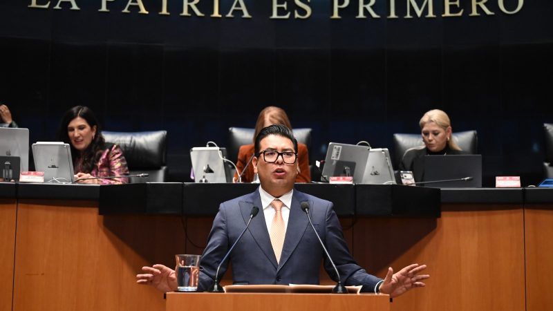 Néstor Camarillo