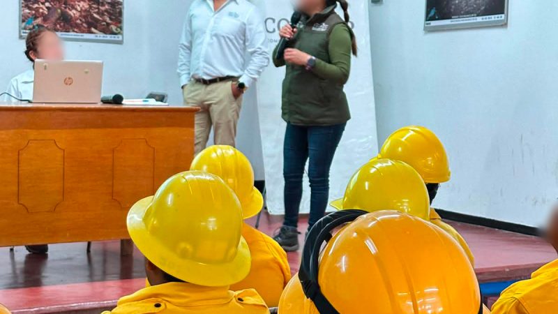 Pesonal de Profepa impartiendo capacitación