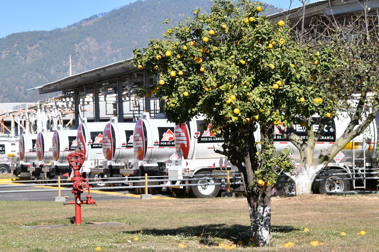Desmienten versiones sobre clausuras injustificadas de gasolineras