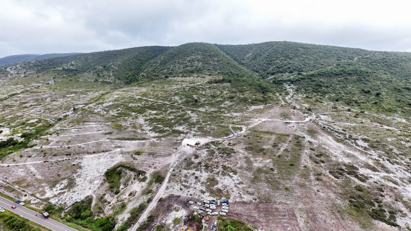 Primera Jornada de Mega Tequio de Reforestación