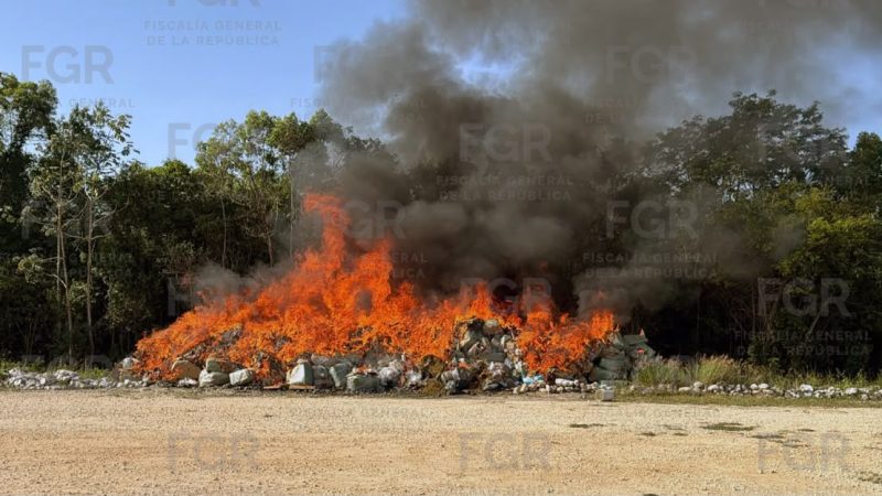 Incineran narcóticos