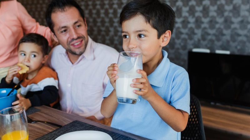 Alimentación infantil