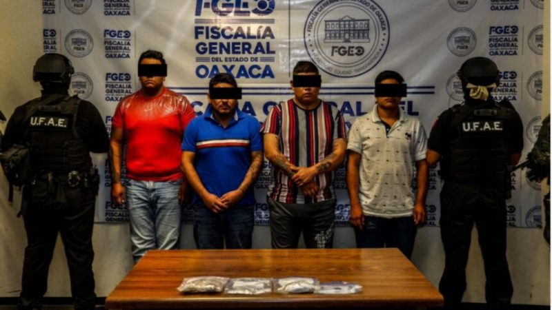 Ejecutan 12 cateos