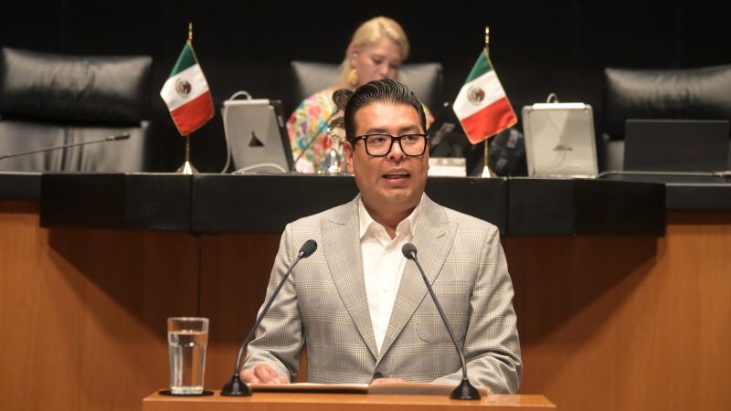 Néstor Camarillo