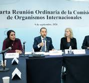 Comisión de Organismos Internacionales