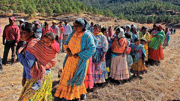 Pueblos indígenas