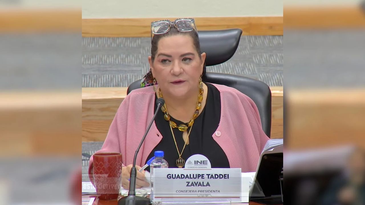Mantendrá INE actividades con normalidad ante cuestionamientos a su gestión: Taddei Zavala