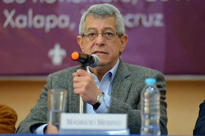 Mauricio Merino Huerta