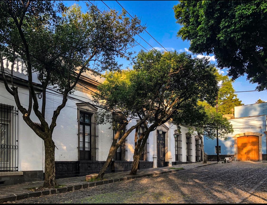 San Ángel: un recorrido entre memoria, ofrendas y leyendas