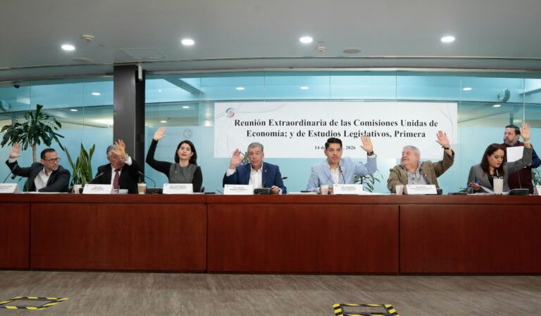 Comisiones unidas